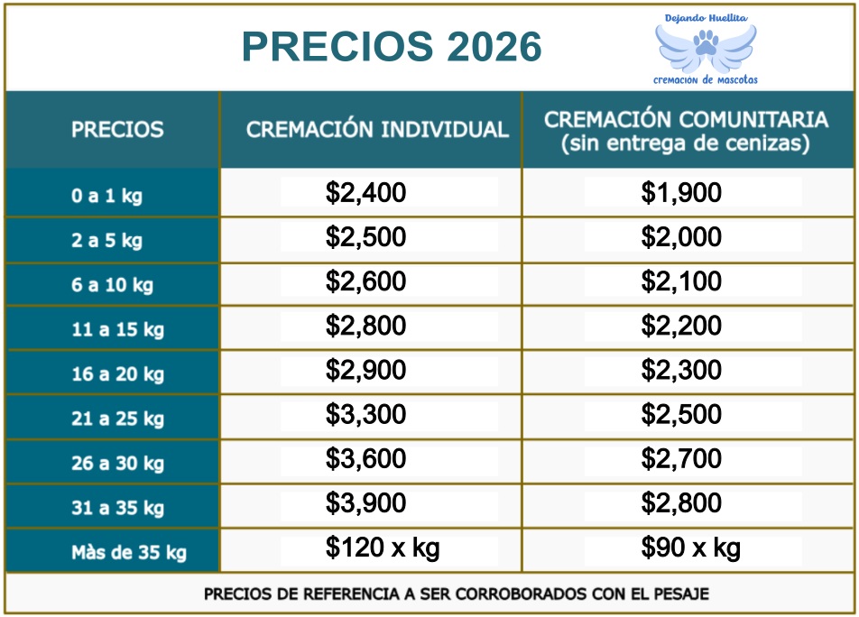 precios cremacion 2026